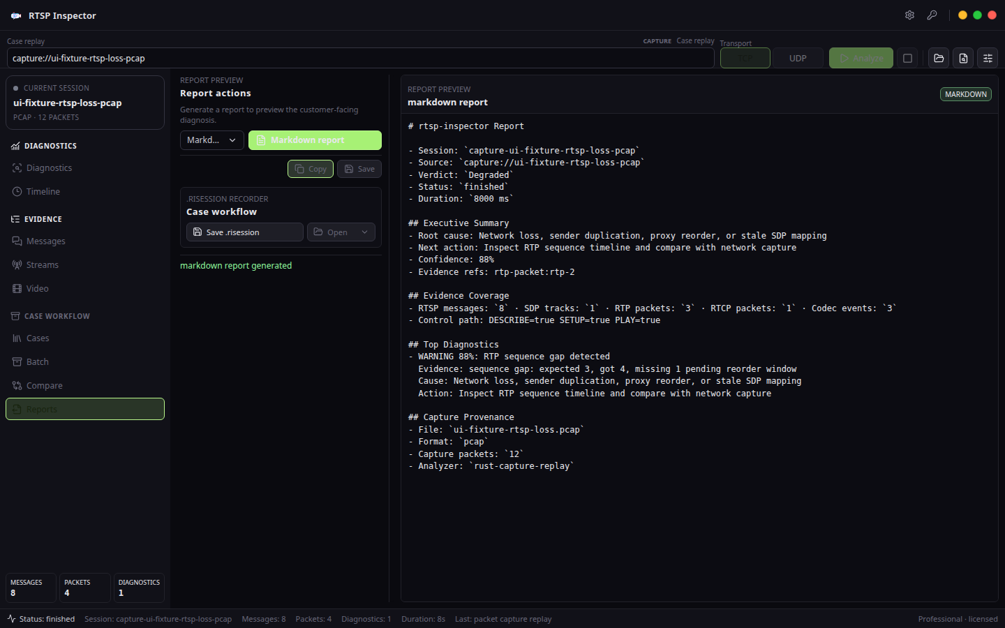 Report preview — RTSP Inspector