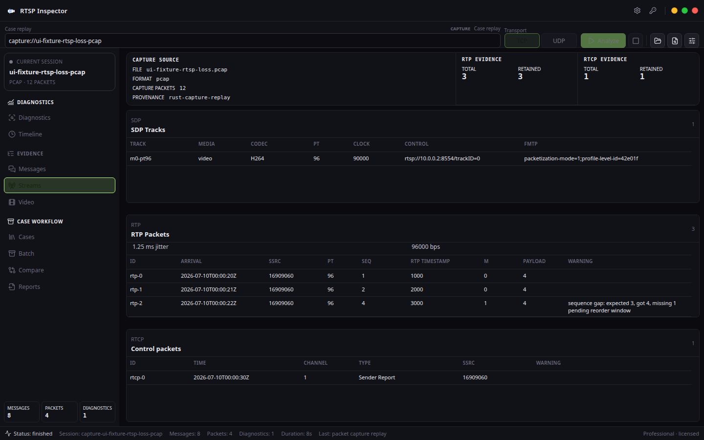 RTP stream evidence — RTSP Inspector